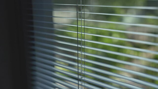 Close up on window blinds overlooking city street and park during daytime. Cars out of focus drive in the distance as focus in on venetian shutters or shades. Watching and spying from apartment