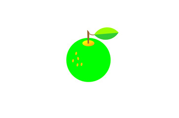 Green orange fruit pattern. Vector illustration.