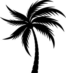 Obraz premium silhouette of palm tree
