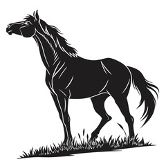silhouette horse on white background 