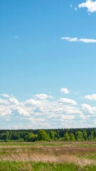 Scenic landscape view of lush fields under a blue sky with fluffy clouds nature photography tranquil environment