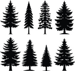 Silhouette of Evergreen Trees Set on White Background,Pine fir tree tall tree isolated premium vector image, black and white tree silhouettes,coniferous trees, pine trees,fir trees silhouettes set,Ai