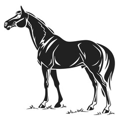 silhouette horse on white background 