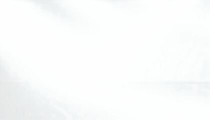 Subtle White Fabric Texture with Soft Light and Smooth Waves