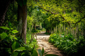 El Capricho Park - Madrid