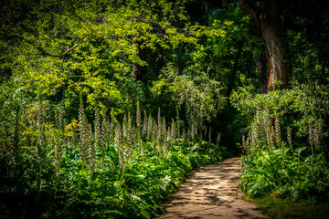 El Capricho Park - Madrid