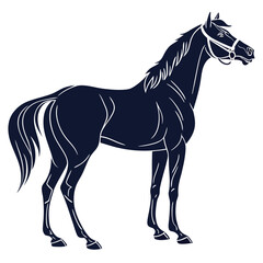 silhouette horse on white background 