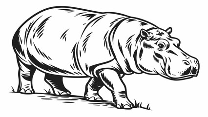 Fototapeta premium Illustration of a hippopotamus walking with detailed line work and shading on a white background image created with generated ai