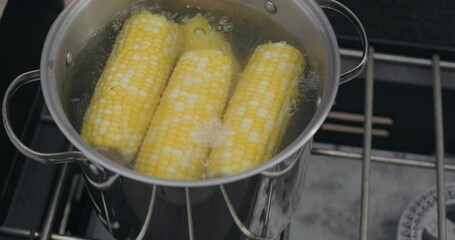 Closeup of three ears of corn on the cob are boiling in a metal pot on a stovetop burner - Powered by Adobe