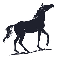 silhouette horse on white background 