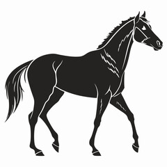 silhouette horse on white background 