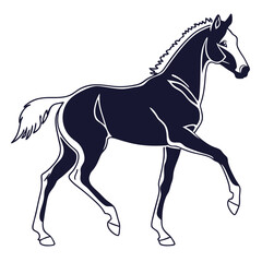 silhouette horse on white background 