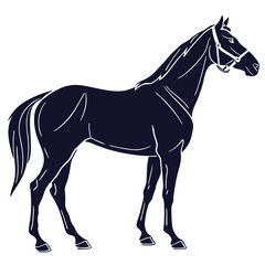 silhouette horse on white background 
