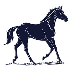 silhouette horse on white background 