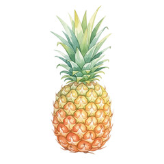 Fototapeta premium Pineapple Isolated on Transparent PNG Background - Watercolour Art