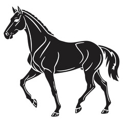 silhouette horse on white background 