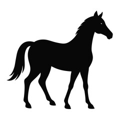 silhouette horse on white background 