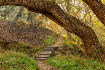 Clarens Spruit Walk and MTB trail passes over footbridge