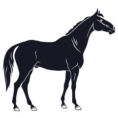 silhouette horse on white background 