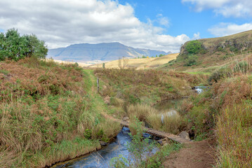 Bridge on a mountain bike trail at Mountain Splendour