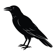 Crow silhouette vector art illustration