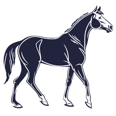 silhouette horse on white background 