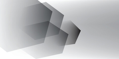 Fototapeta premium Abstract grey hexagonal white background. with elegant artistic style