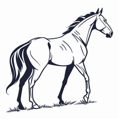 silhouette horse on white background