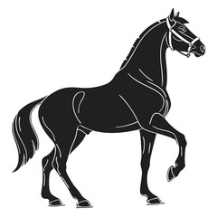 silhouette horse on white background