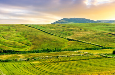 picturesque sunset or sunrise in nice green and yellow shiny field with beautiful golden rows of wheat among highland hills and bright colorful evening sky with clouds on background