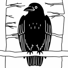 A black carrion crow on a white background