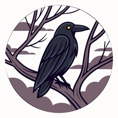 A black carrion crow on a white background