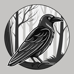 A black carrion crow on a white background
