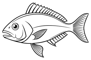 Fototapeta premium Seafood Snapper Illustration on White