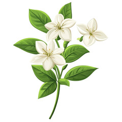 Fototapeta premium Beautiful white flowers with green leaves a nature scene