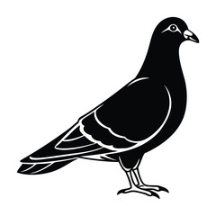 Pigeon silhouette vector art
