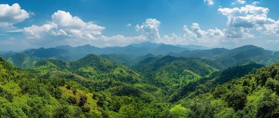 Lush green tropical forest covers the mountain forest on Doi Phuka, which is frequently enveloped in low cloud during Nan Province's rainy monsoon season in Thailand