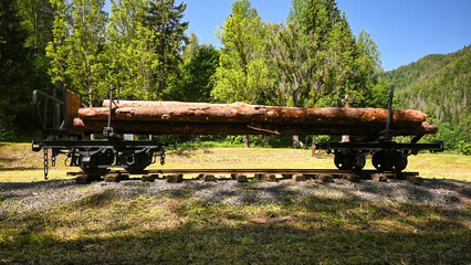 Old logging railway cart transports wood logs, showcasing a historical method of timber harvesting in a serene forest environment
