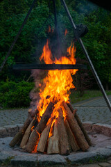 Large pile of wood is burning in a fire pit. The fire is very hot and the flames are orange. The...