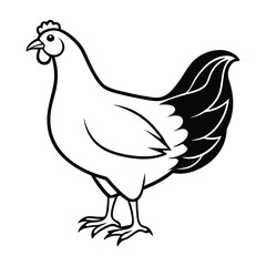 Vector illustration of a hen
