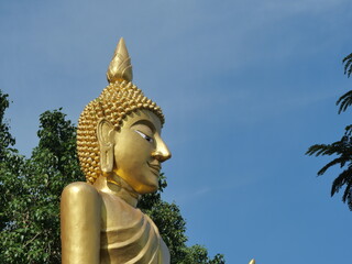 Obraz premium A magnificent golden Buddha statue shines under a clear blue sky, framed by verdant green trees. Embodies peace, spirituality, and the rich cultural heritage of Thailand.