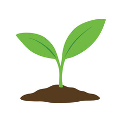 Vibrant Green Sprout Emerging from Soil A Symbol of New Growth and Life