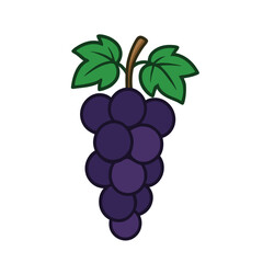 A Delightful Illustration of a Bunch of Dark Purple Grapes with Lush Green Leaves, Perfect for Wine Labels, Food Blogs, or Educational Materials