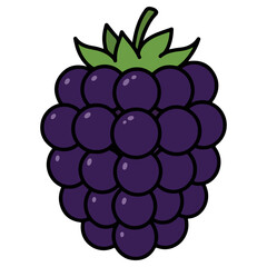 Blackberry vector illustration, simple design