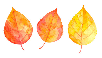 秋の葉っぱ、水彩テクスチャのイラスト素材