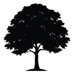  silhouette isolated tree high res