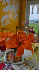 Beautiful flowers on a pretty table