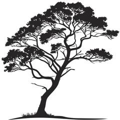  silhouette isolated tree high res
