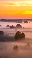 Fototapeta premium mystical foggy landscape in autumn