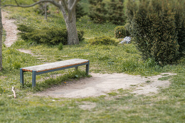 Foreground wooden metal park bench facing right, grassy area with plants, gently curving path...